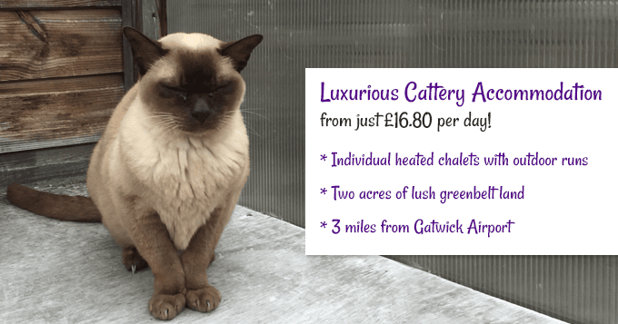 Luxury Cattery Accommodation from &pound;16.80 per day.